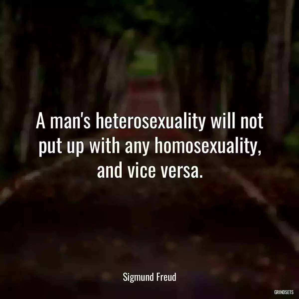 A man\'s heterosexuality will not put up with any homosexuality, and vice versa.