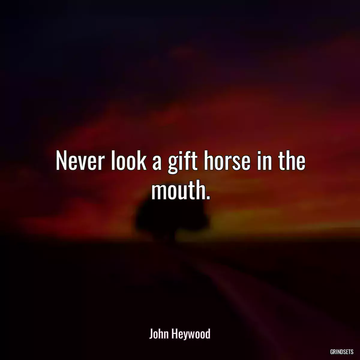 Never look a gift horse in the mouth.