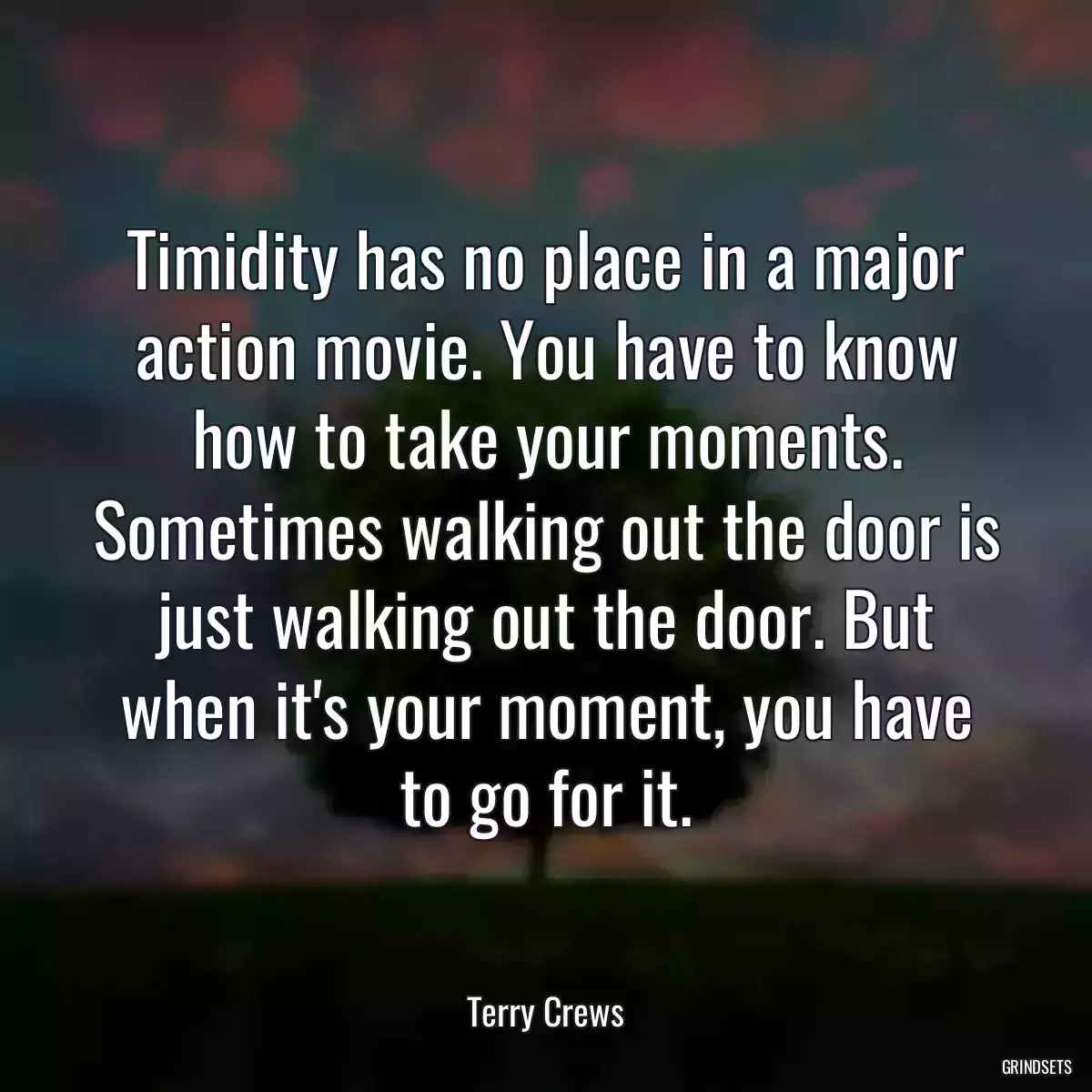 Timidity has no place in a major action movie. You have to know how to take your moments. Sometimes walking out the door is just walking out the door. But when it\'s your moment, you have to go for it.