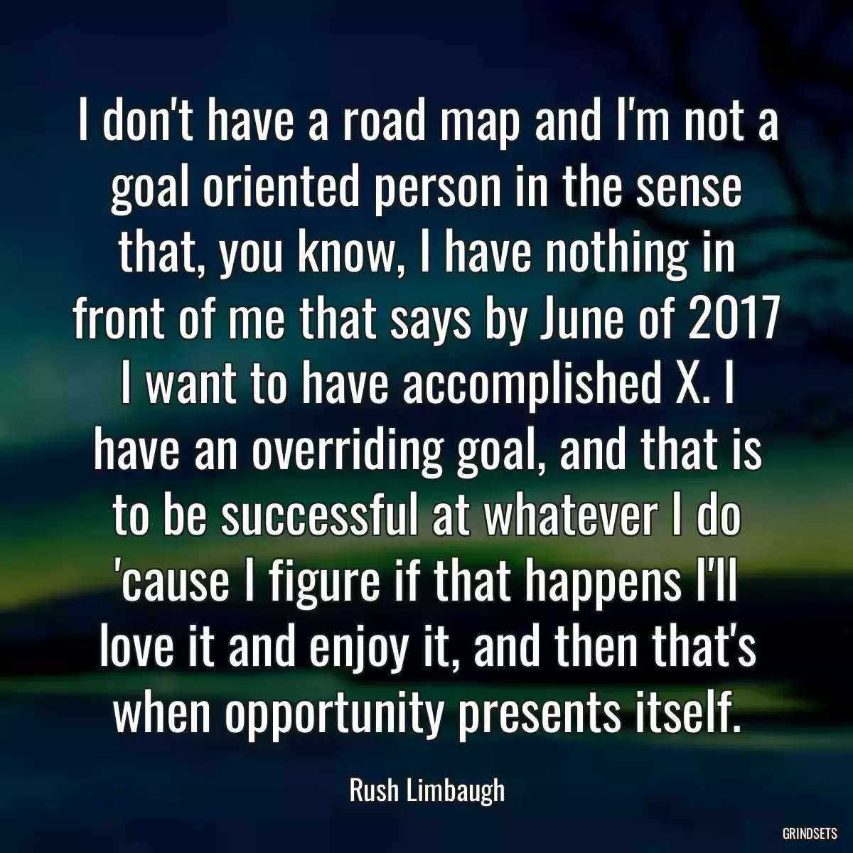 I don\'t have a road map and I\'m not a goal oriented person in the sense that, you know, I have nothing in front of me that says by June of 2017 I want to have accomplished X. I have an overriding goal, and that is to be successful at whatever I do \'cause I figure if that happens I\'ll love it and enjoy it, and then that\'s when opportunity presents itself.