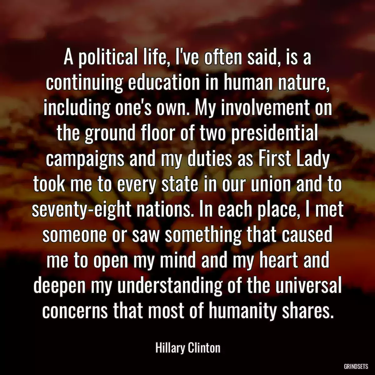 A political life, I\'ve often said, is a continuing education in human nature, including one\'s own. My involvement on the ground floor of two presidential campaigns and my duties as First Lady took me to every state in our union and to seventy-eight nations. In each place, I met someone or saw something that caused me to open my mind and my heart and deepen my understanding of the universal concerns that most of humanity shares.