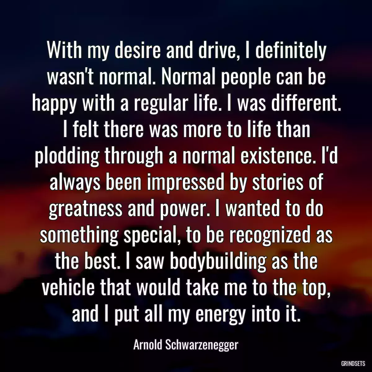 With my desire and drive, I definitely wasn\'t normal. Normal people can be happy with a regular life. I was different. I felt there was more to life than plodding through a normal existence. I\'d always been impressed by stories of greatness and power. I wanted to do something special, to be recognized as the best. I saw bodybuilding as the vehicle that would take me to the top, and I put all my energy into it.