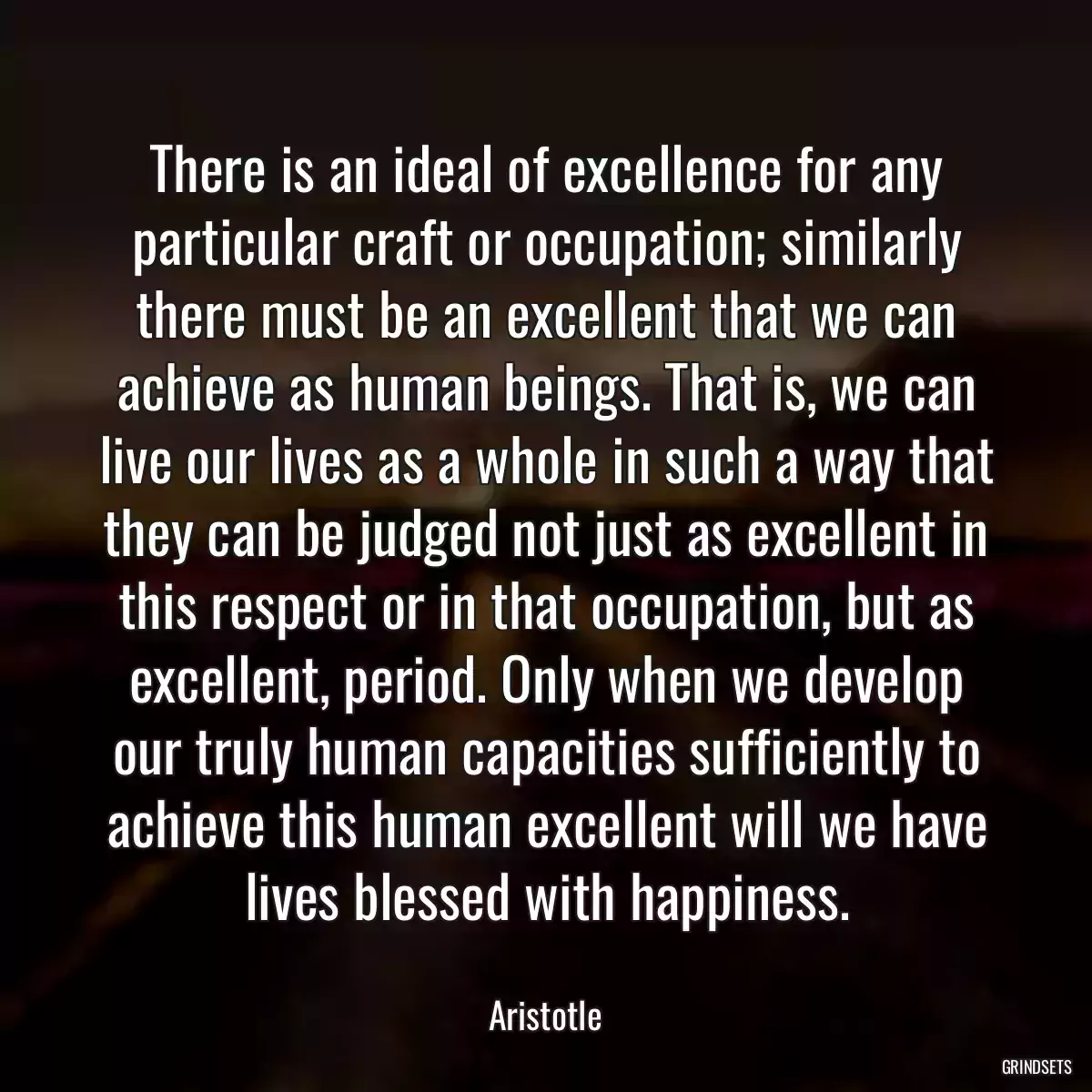 There is an ideal of excellence for any particular craft or occupation; similarly there must be an excellent that we can achieve as human beings. That is, we can live our lives as a whole in such a way that they can be judged not just as excellent in this respect or in that occupation, but as excellent, period. Only when we develop our truly human capacities sufficiently to achieve this human excellent will we have lives blessed with happiness.