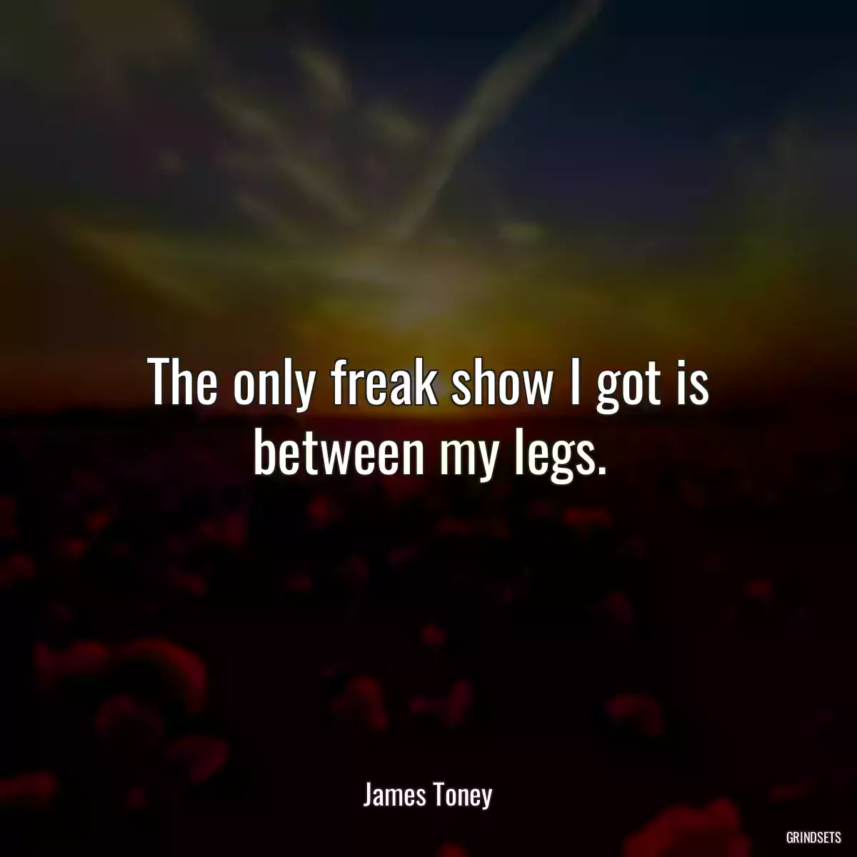 The only freak show I got is between my legs.