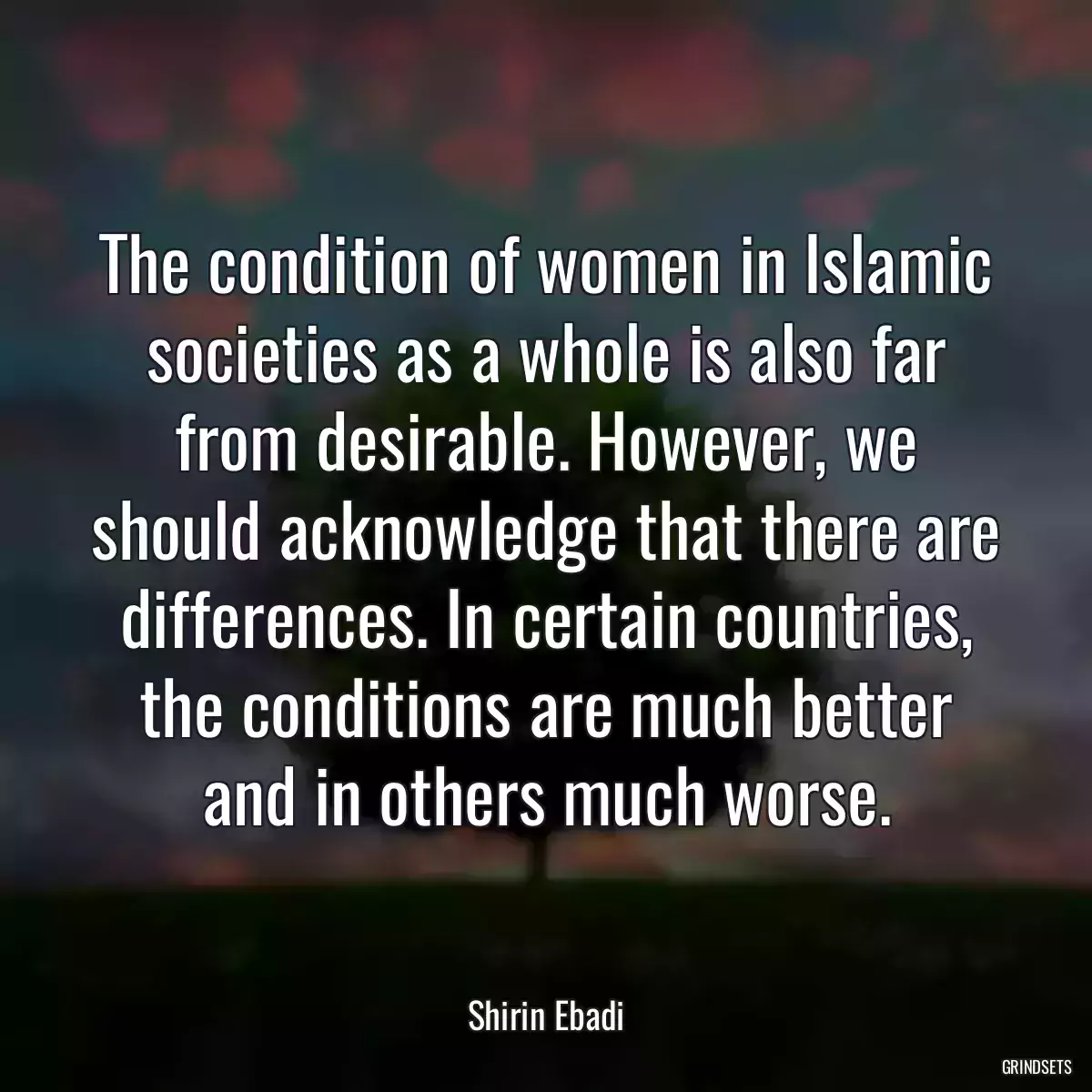 The condition of women in Islamic societies as a whole is also far from desirable. However, we should acknowledge that there are differences. In certain countries, the conditions are much better and in others much worse.