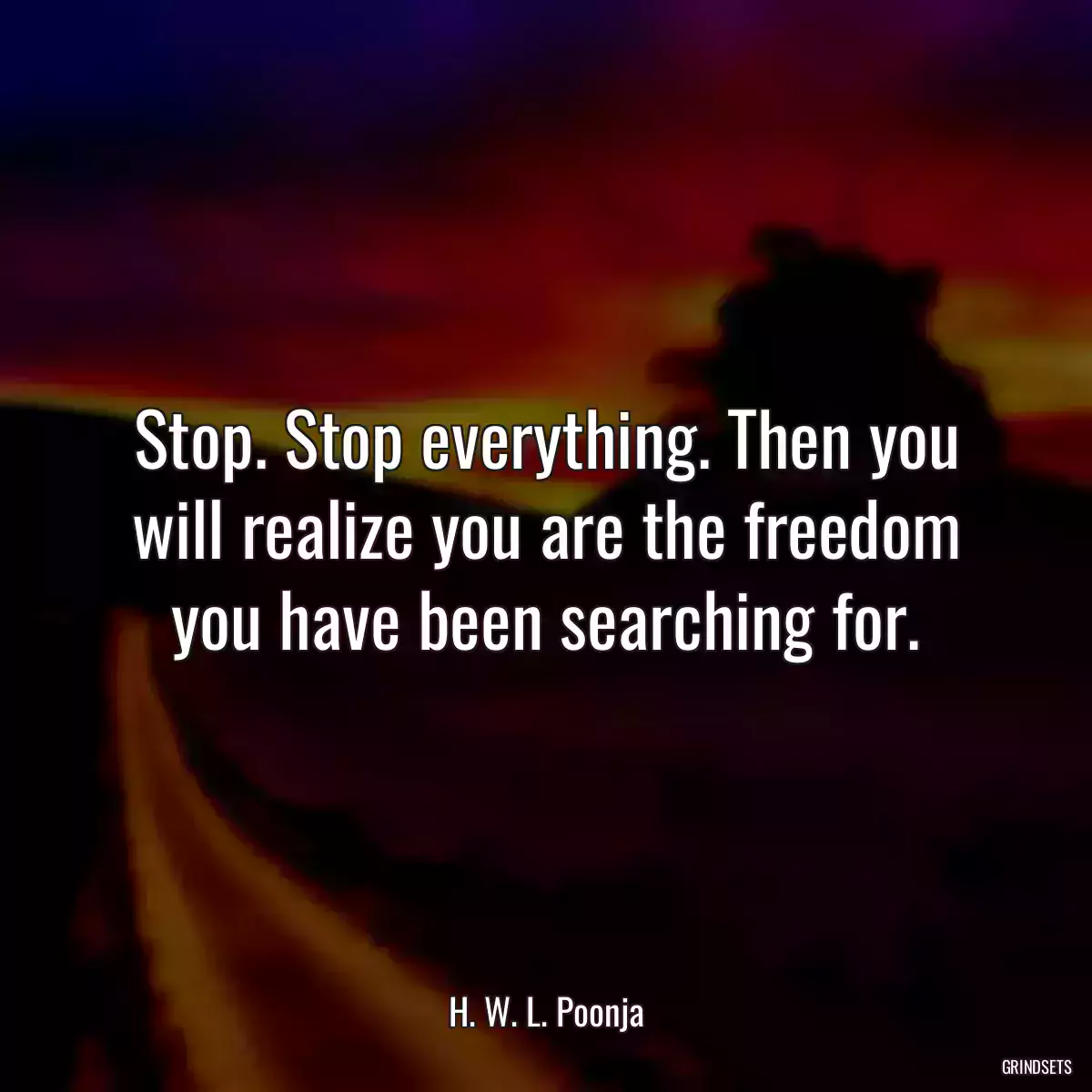 Stop. Stop everything. Then you will realize you are the freedom you have been searching for.