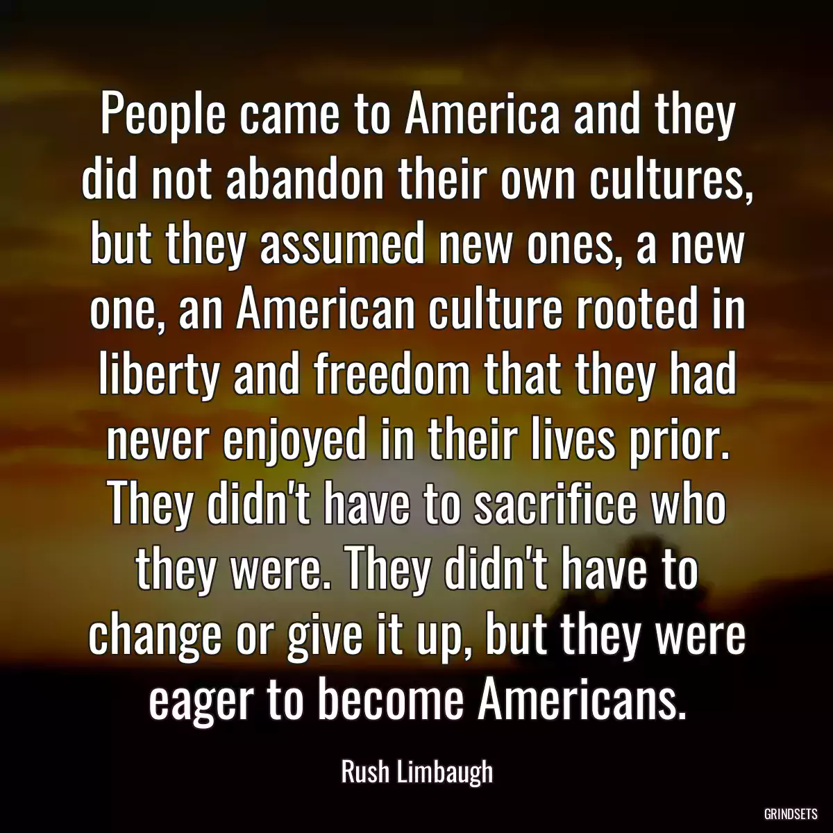 People came to America and they did not abandon their own cultures, but they assumed new ones, a new one, an American culture rooted in liberty and freedom that they had never enjoyed in their lives prior. They didn\'t have to sacrifice who they were. They didn\'t have to change or give it up, but they were eager to become Americans.