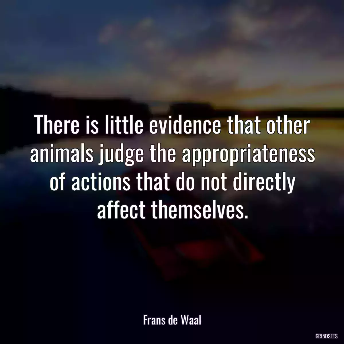 There is little evidence that other animals judge the appropriateness of actions that do not directly affect themselves.