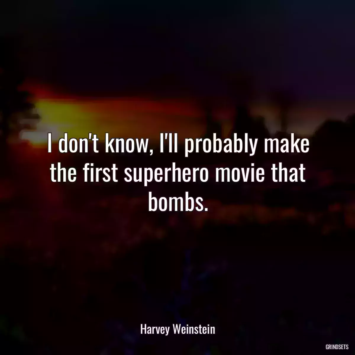 I don\'t know, I\'ll probably make the first superhero movie that bombs.