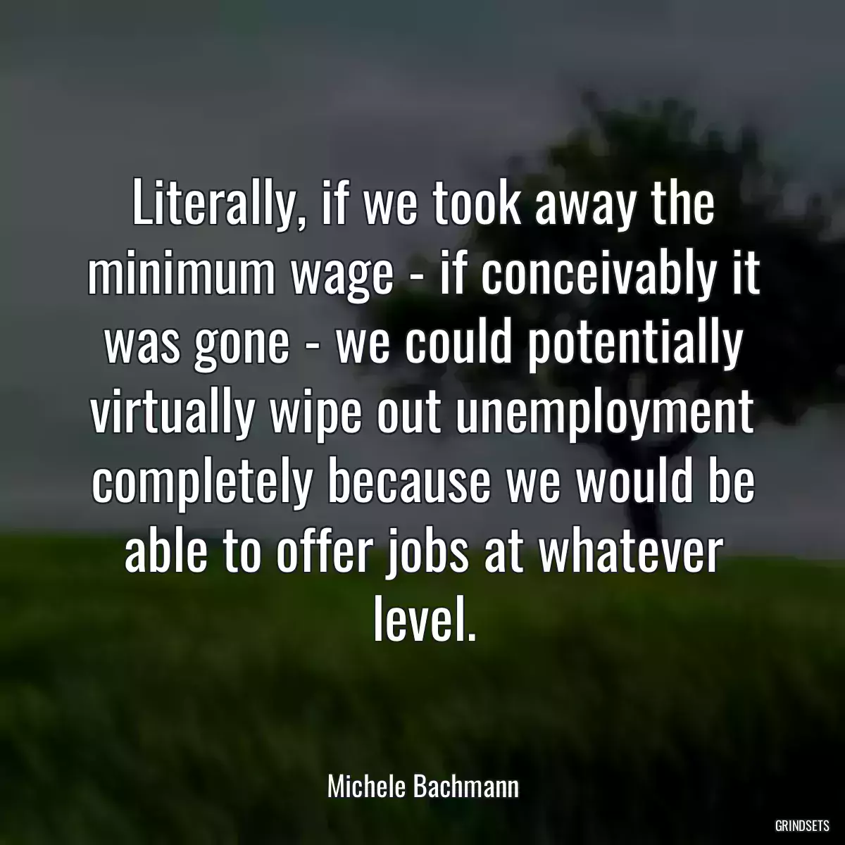 Literally, if we took away the minimum wage - if conceivably it was gone - we could potentially virtually wipe out unemployment completely because we would be able to offer jobs at whatever level.