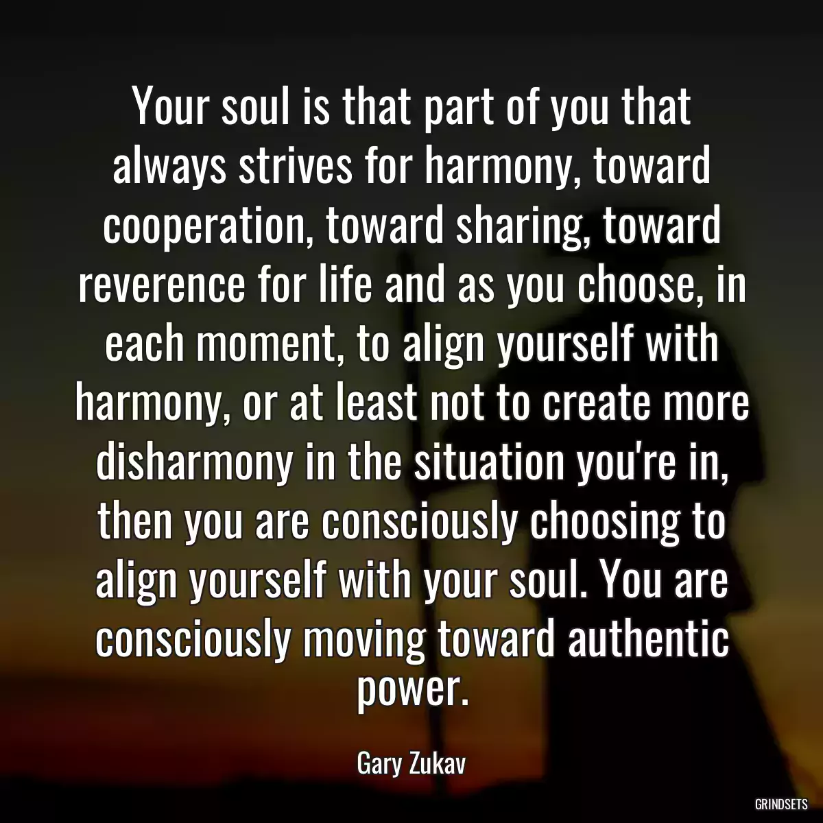 Your soul is that part of you that always strives for harmony, toward cooperation, toward sharing, toward reverence for life and as you choose, in each moment, to align yourself with harmony, or at least not to create more disharmony in the situation you\'re in, then you are consciously choosing to align yourself with your soul. You are consciously moving toward authentic power.