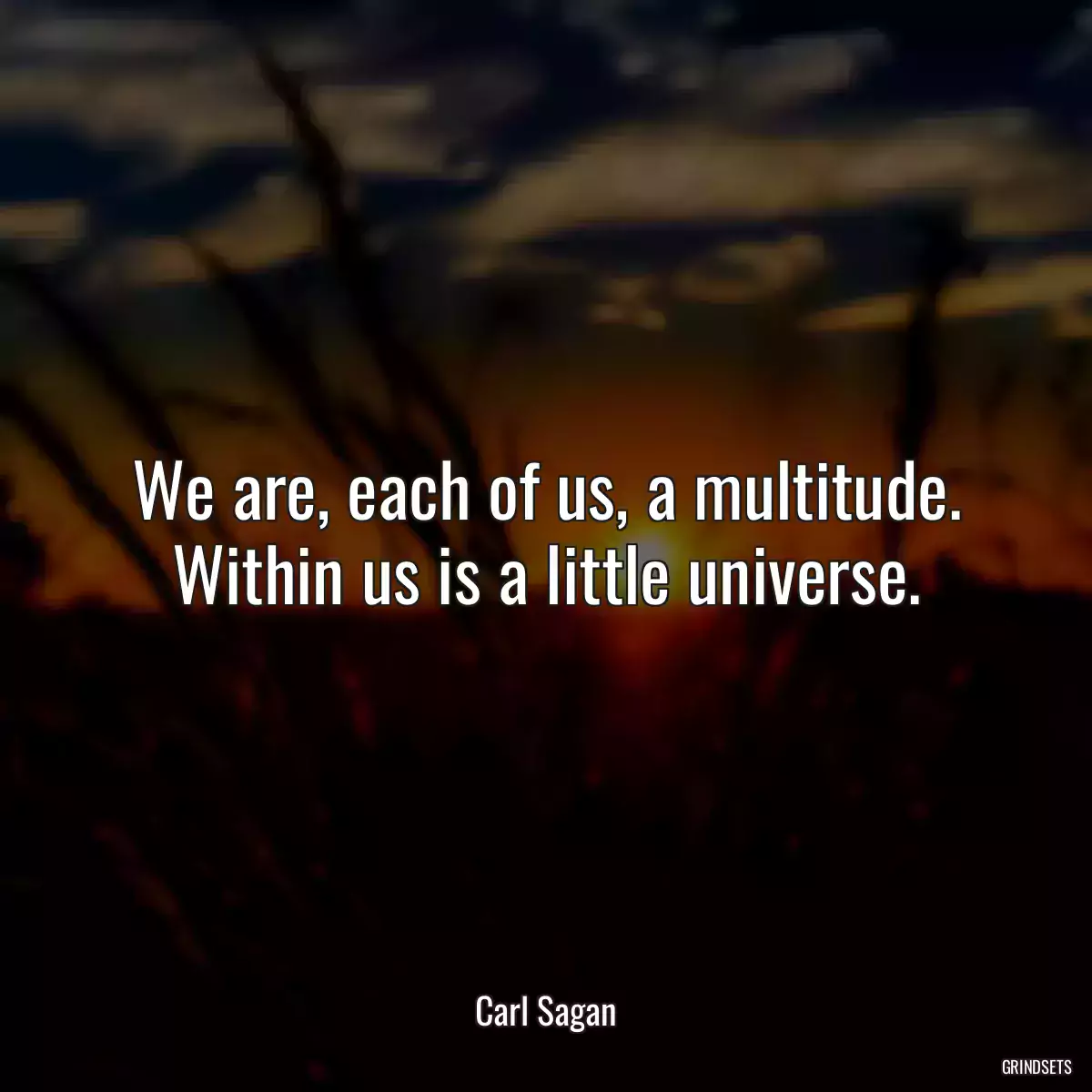 We are, each of us, a multitude. Within us is a little universe.