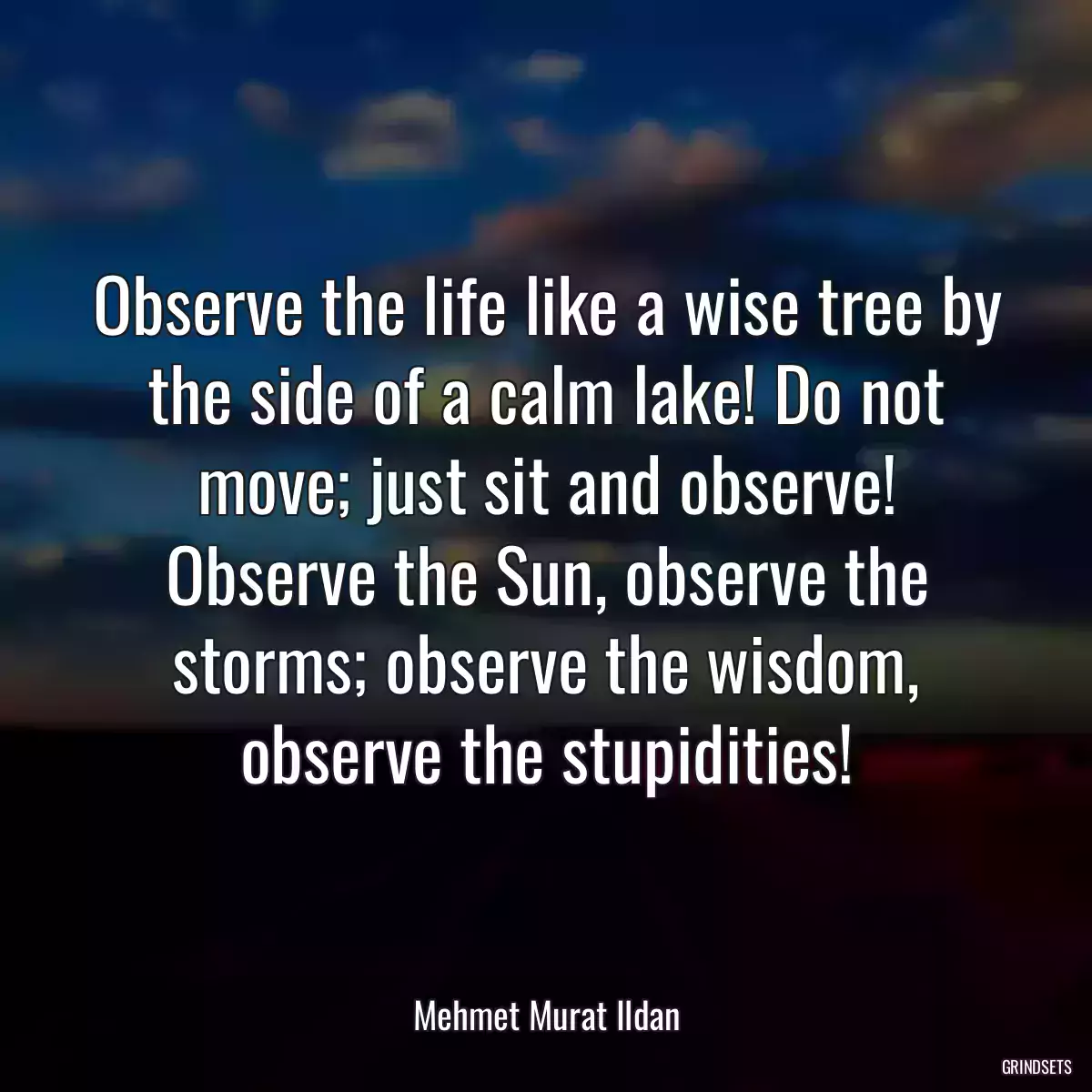 Observe the life like a wise tree by the side of a calm lake! Do not move; just sit and observe! Observe the Sun, observe the storms; observe the wisdom, observe the stupidities!