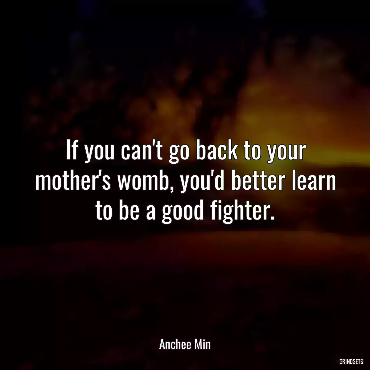 If you can\'t go back to your mother\'s womb, you\'d better learn to be a good fighter.