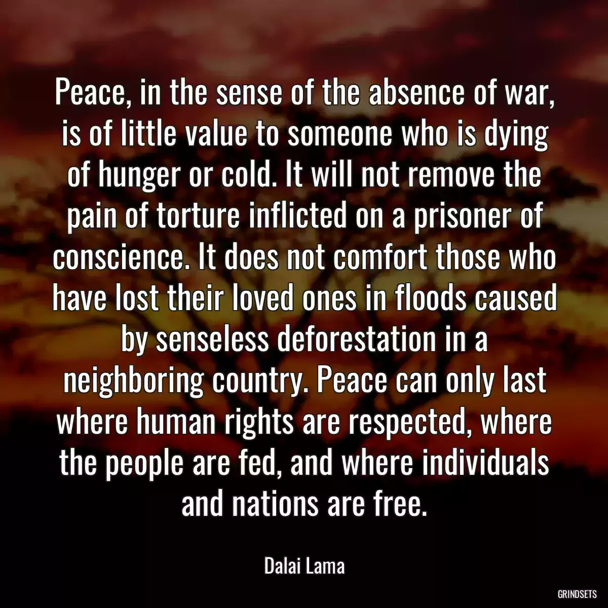 Peace, in the sense of the absence of war, is of little value to someone who is dying of hunger or cold. It will not remove the pain of torture inflicted on a prisoner of conscience. It does not comfort those who have lost their loved ones in floods caused by senseless deforestation in a neighboring country. Peace can only last where human rights are respected, where the people are fed, and where individuals and nations are free.