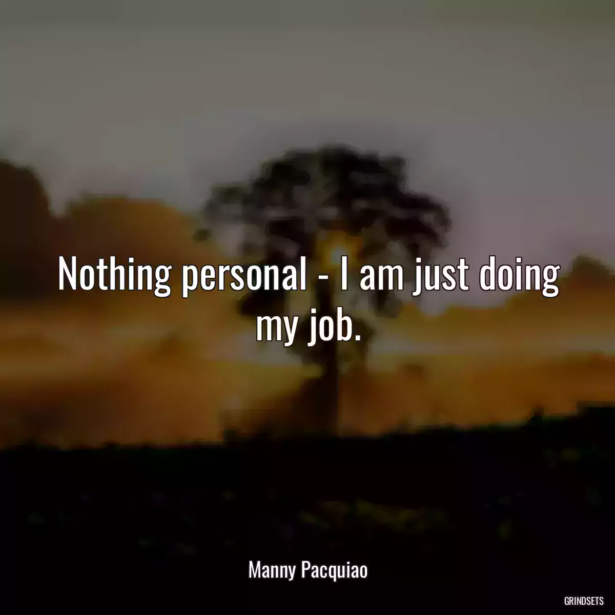 Nothing personal - I am just doing my job.