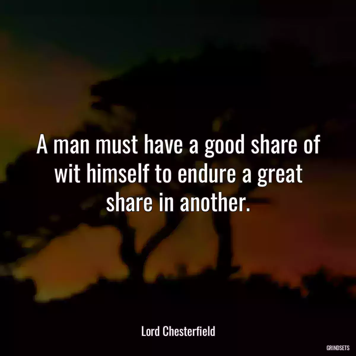 A man must have a good share of wit himself to endure a great share in another.