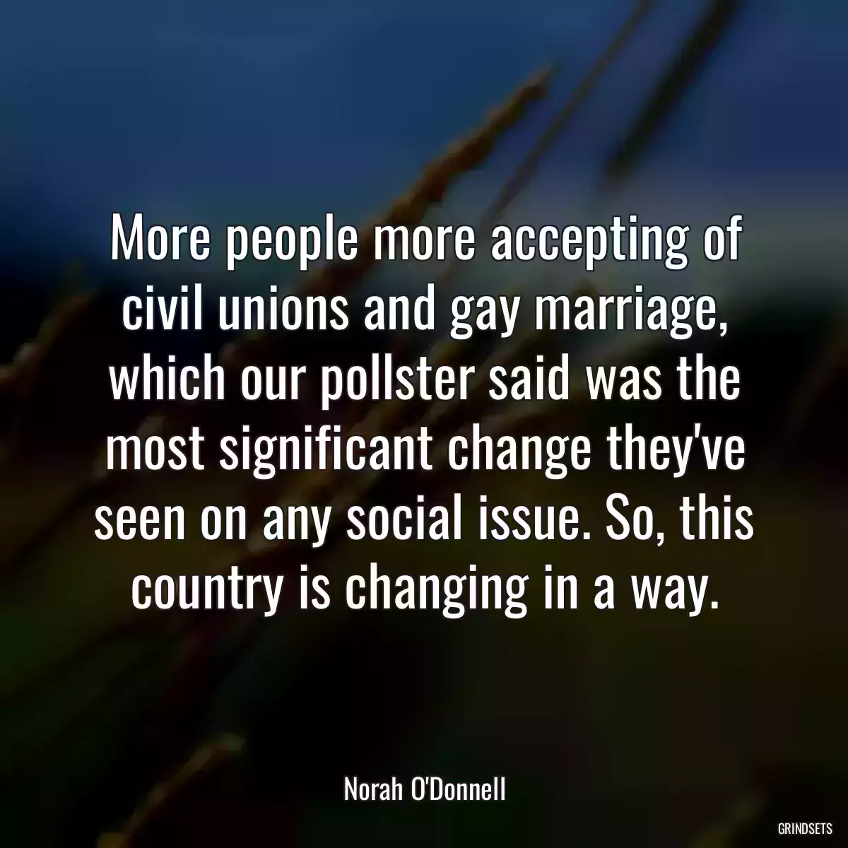 More people more accepting of civil unions and gay marriage, which our pollster said was the most significant change they\'ve seen on any social issue. So, this country is changing in a way.