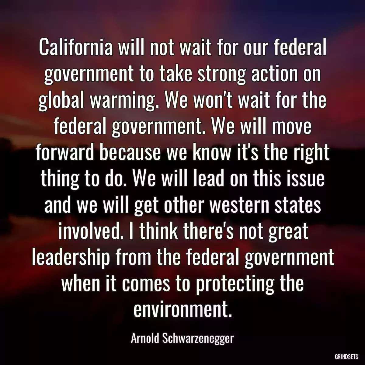 California will not wait for our federal government to take strong action on global warming. We won\'t wait for the federal government. We will move forward because we know it\'s the right thing to do. We will lead on this issue and we will get other western states involved. I think there\'s not great leadership from the federal government when it comes to protecting the environment.