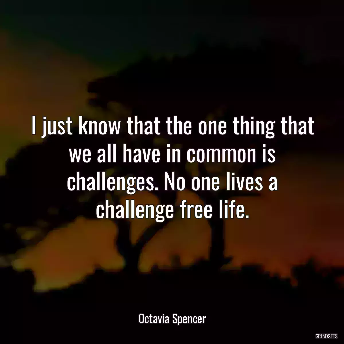 I just know that the one thing that we all have in common is challenges. No one lives a challenge free life.