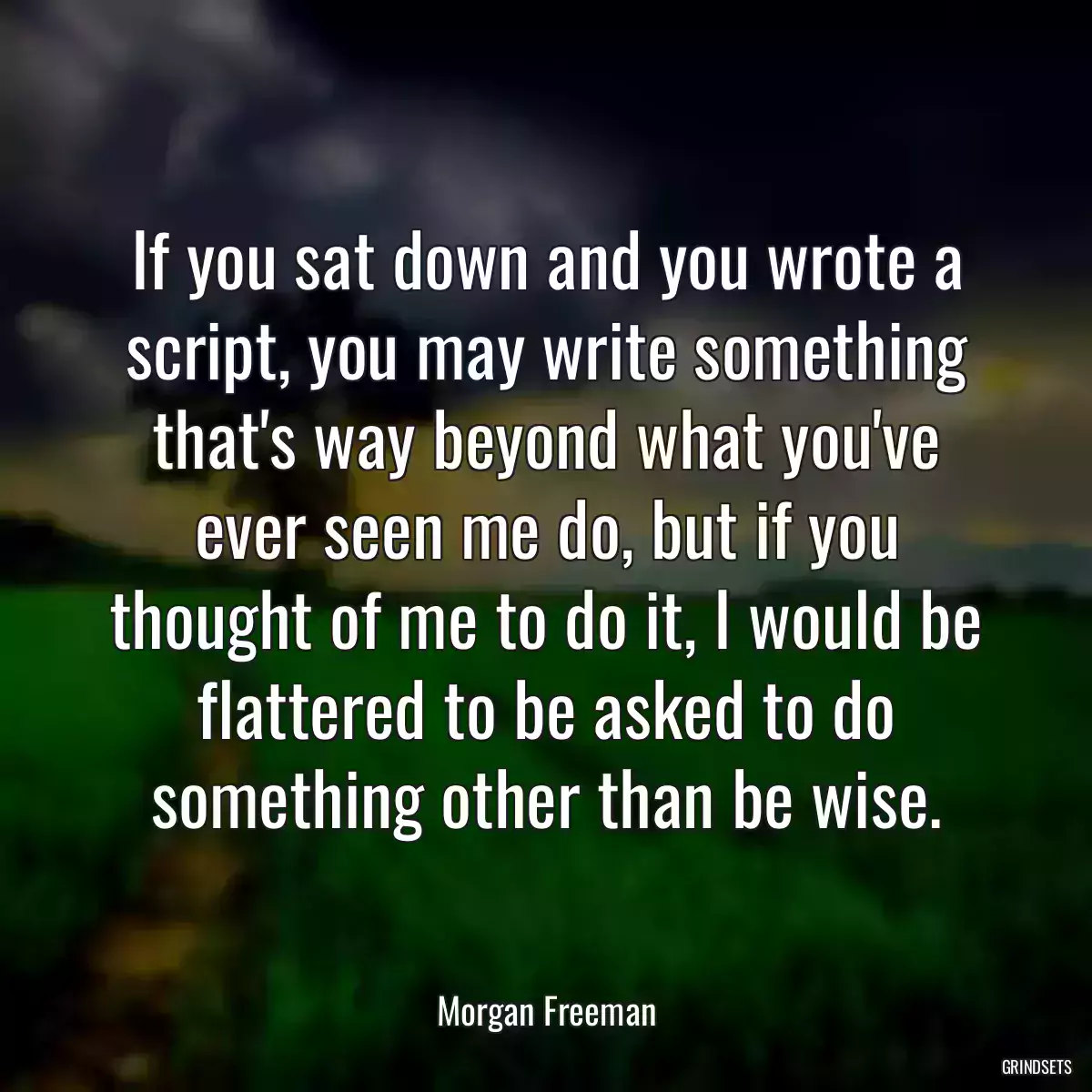 If you sat down and you wrote a script, you may write something that\'s way beyond what you\'ve ever seen me do, but if you thought of me to do it, I would be flattered to be asked to do something other than be wise.