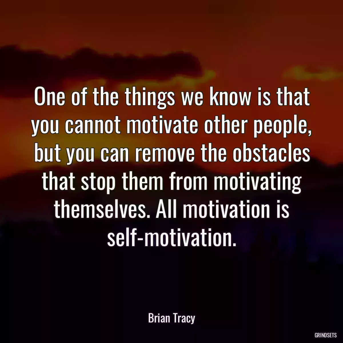 One of the things we know is that you cannot motivate other people, but you can remove the obstacles that stop them from motivating themselves. All motivation is self-motivation.