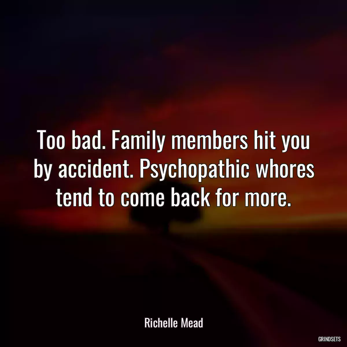 Too bad. Family members hit you by accident. Psychopathic whores tend to come back for more.