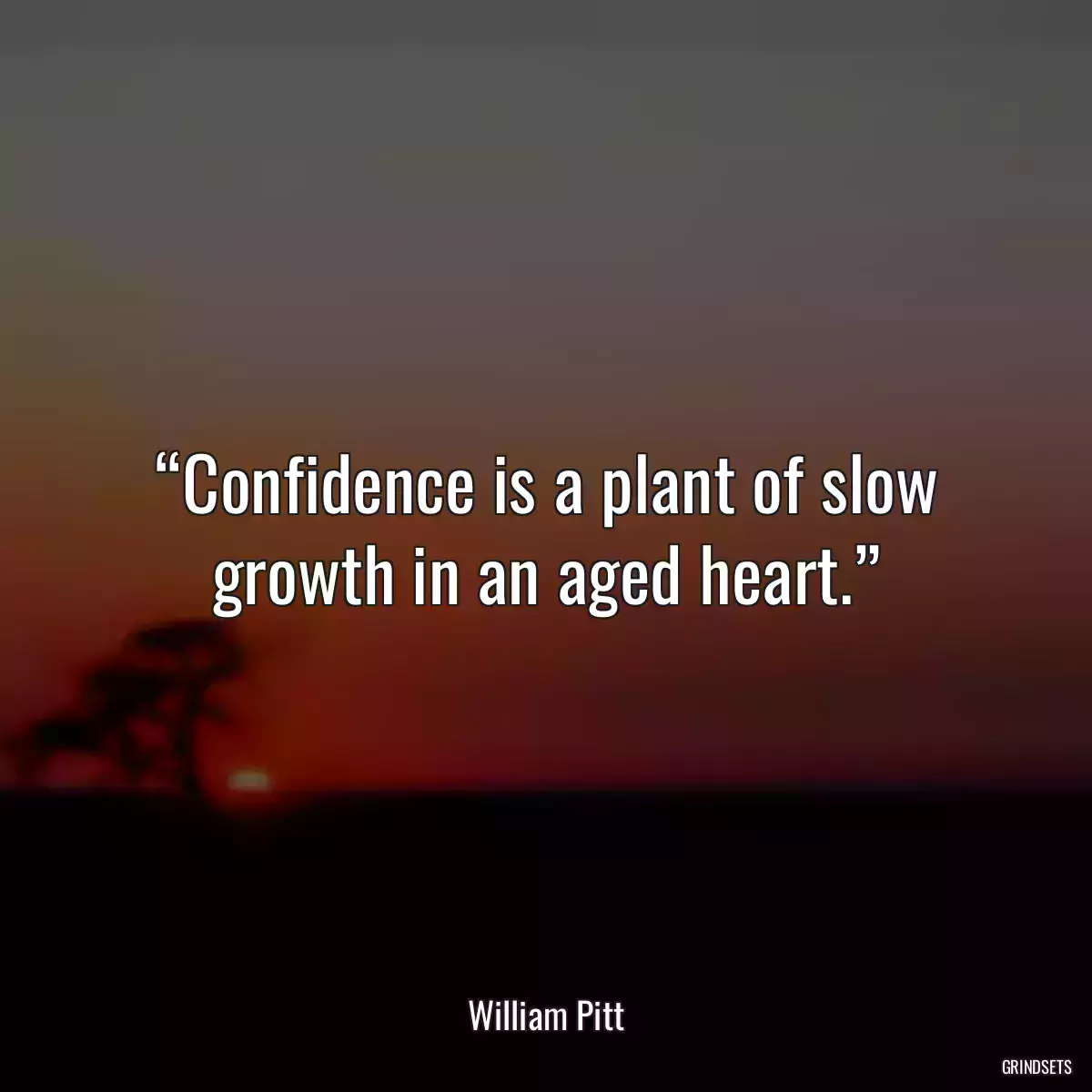 “Confidence is a plant of slow growth in an aged heart.”