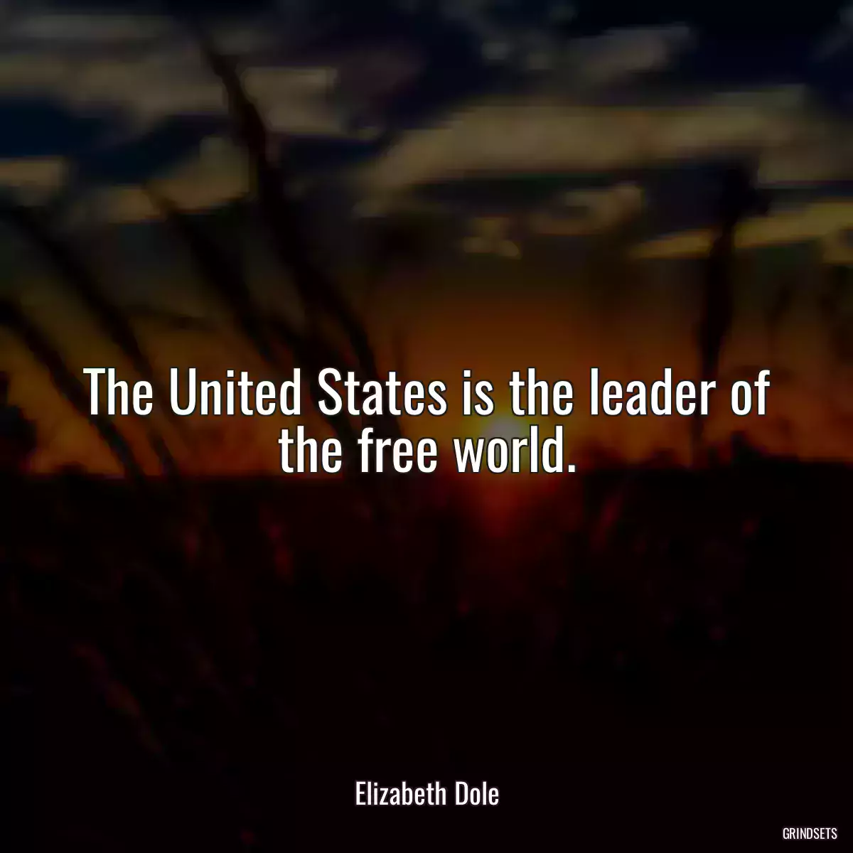 The United States is the leader of the free world.