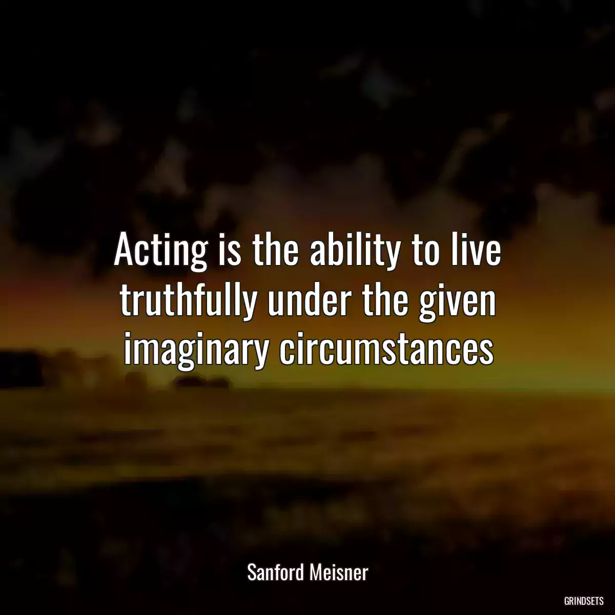 Acting is the ability to live truthfully under the given imaginary circumstances