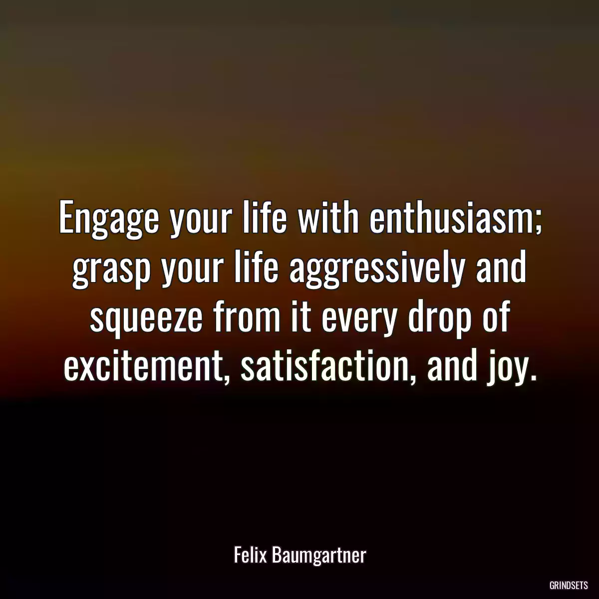 Engage your life with enthusiasm; grasp your life aggressively and squeeze from it every drop of excitement, satisfaction, and joy.