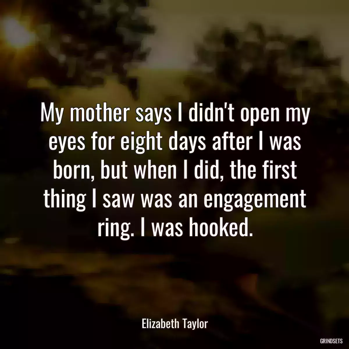 My mother says I didn\'t open my eyes for eight days after I was born, but when I did, the first thing I saw was an engagement ring. I was hooked.