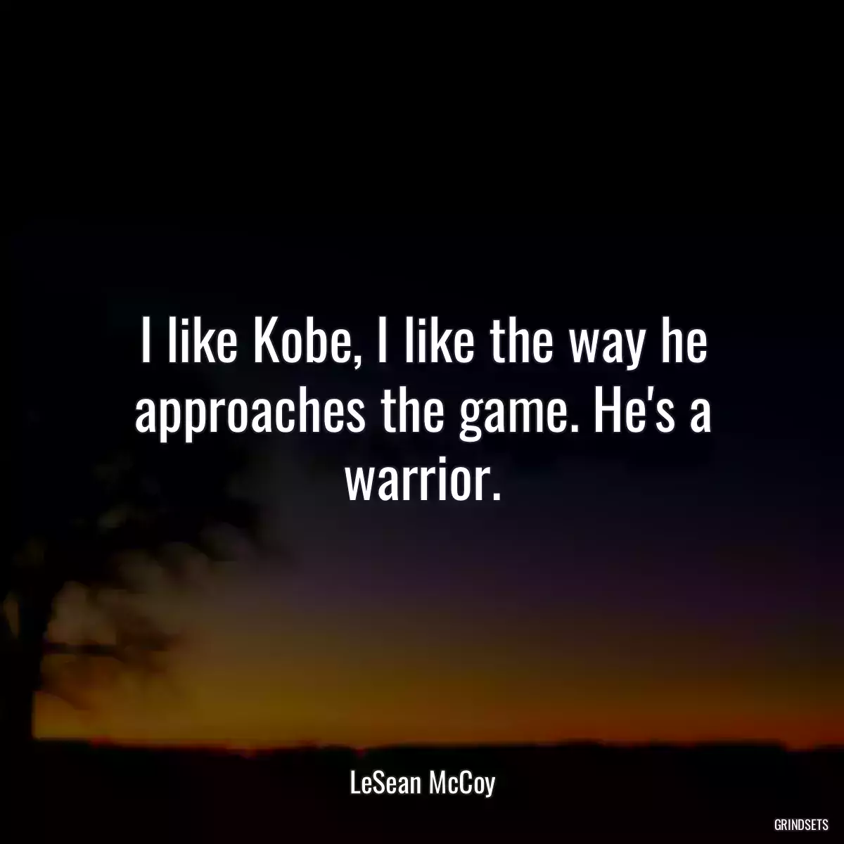 I like Kobe, I like the way he approaches the game. He\'s a warrior.