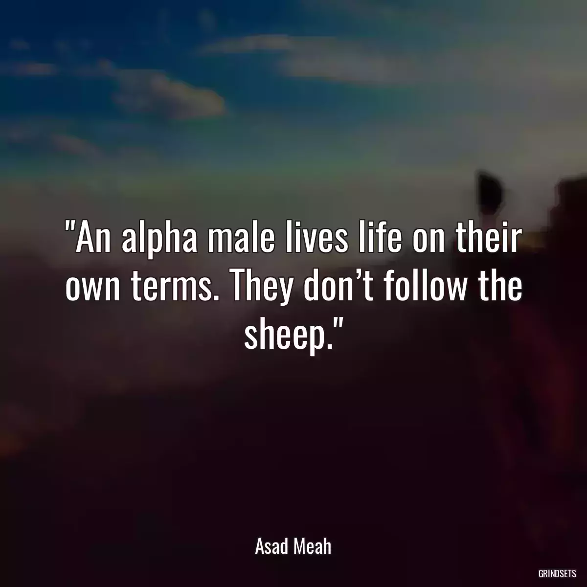 An alpha male lives life on their own terms. They don’t follow the sheep.