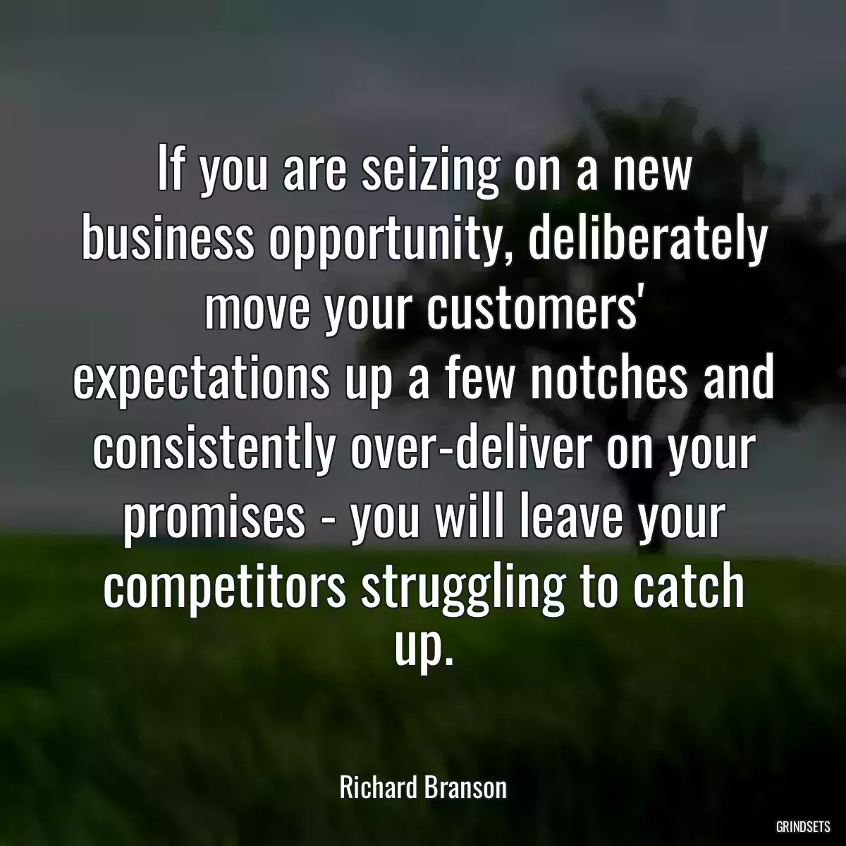 If you are seizing on a new business opportunity, deliberately move your customers\' expectations up a few notches and consistently over-deliver on your promises - you will leave your competitors struggling to catch up.