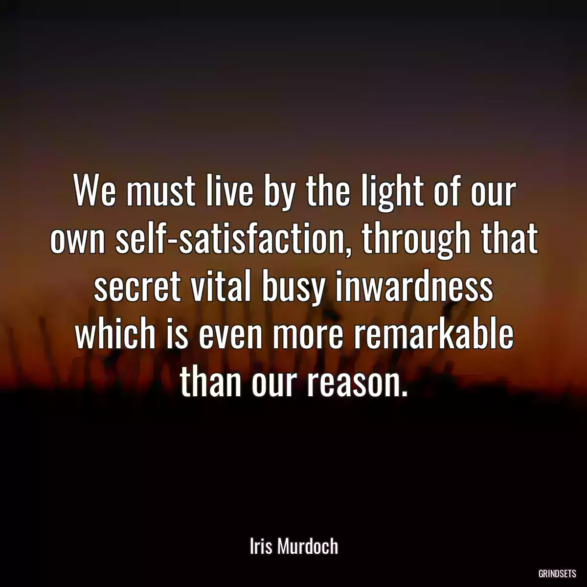 We must live by the light of our own self-satisfaction, through that secret vital busy inwardness which is even more remarkable than our reason.