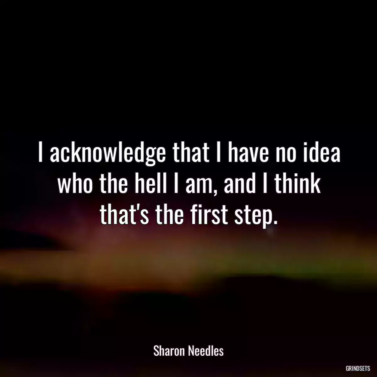 I acknowledge that I have no idea who the hell I am, and I think that\'s the first step.