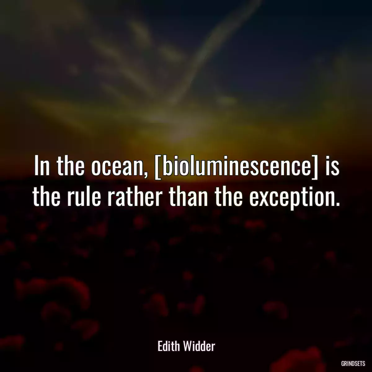 In the ocean, [bioluminescence] is the rule rather than the exception.