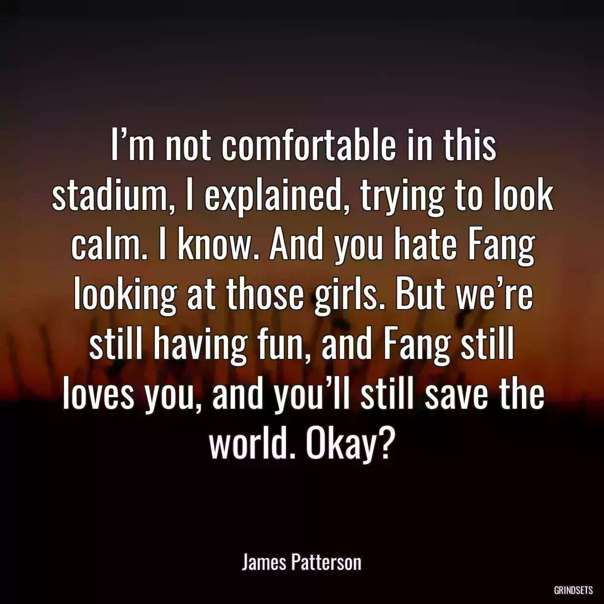 I’m not comfortable in this stadium, I explained, trying to look calm. I know. And you hate Fang looking at those girls. But we’re still having fun, and Fang still loves you, and you’ll still save the world. Okay?