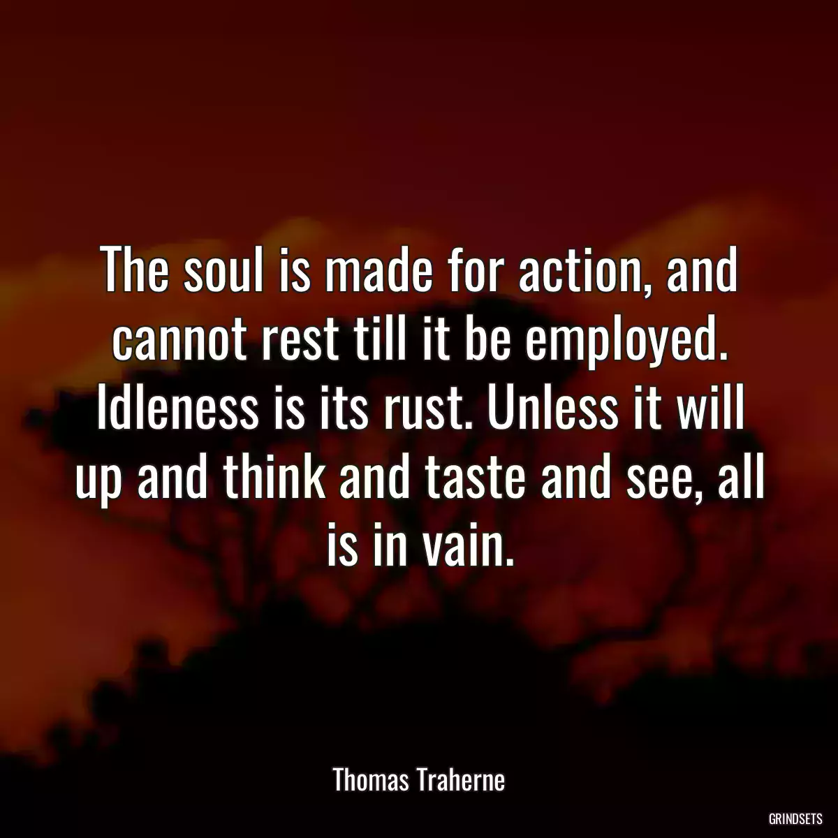 The soul is made for action, and cannot rest till it be employed. Idleness is its rust. Unless it will up and think and taste and see, all is in vain.