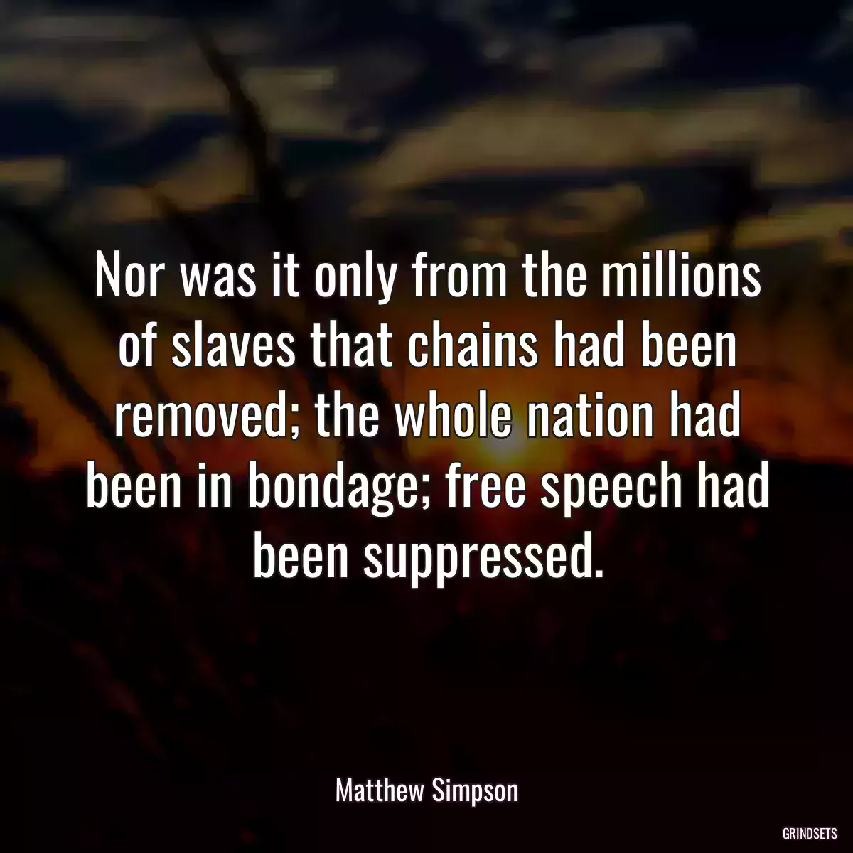 Nor was it only from the millions of slaves that chains had been removed; the whole nation had been in bondage; free speech had been suppressed.