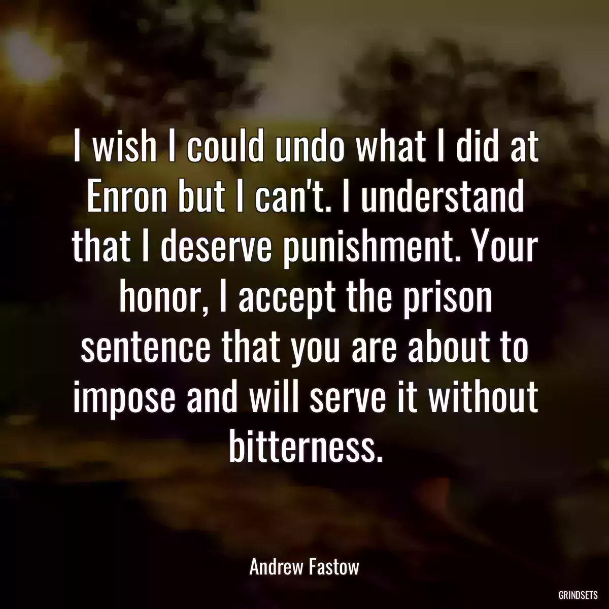 I wish I could undo what I did at Enron but I can\'t. I understand that I deserve punishment. Your honor, I accept the prison sentence that you are about to impose and will serve it without bitterness.