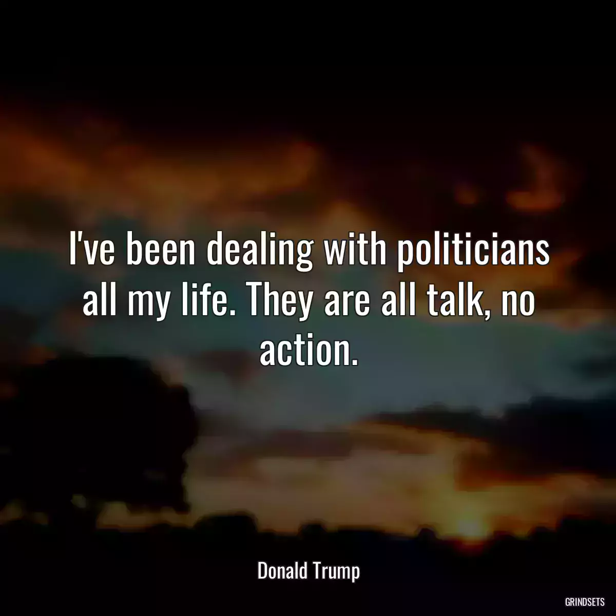 I\'ve been dealing with politicians all my life. They are all talk, no action.