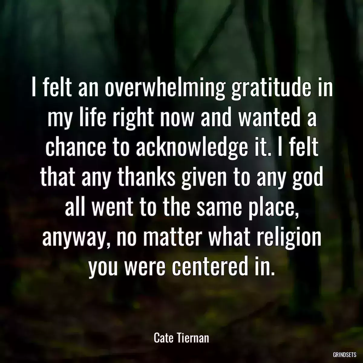 I felt an overwhelming gratitude in my life right now and wanted a chance to acknowledge it. I felt that any thanks given to any god all went to the same place, anyway, no matter what religion you were centered in.