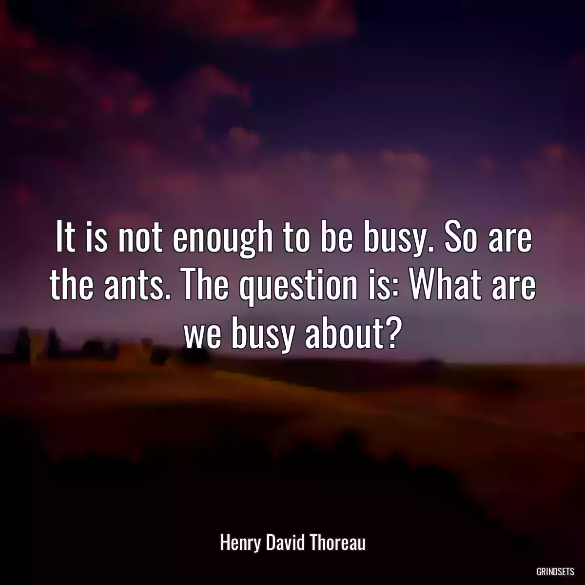 It is not enough to be busy. So are the ants. The question is: What are we busy about?