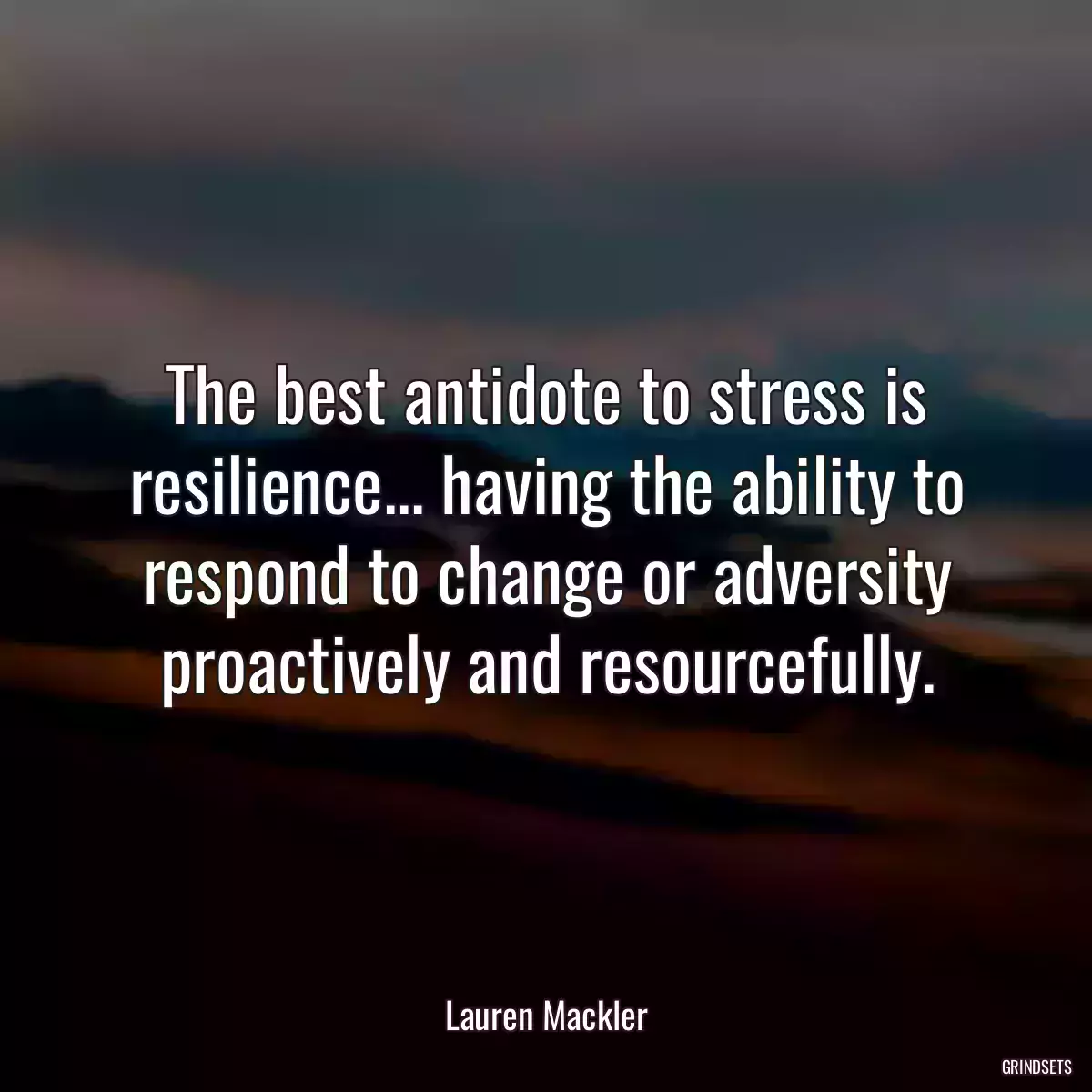 The best antidote to stress is resilience... having the ability to respond to change or adversity proactively and resourcefully.