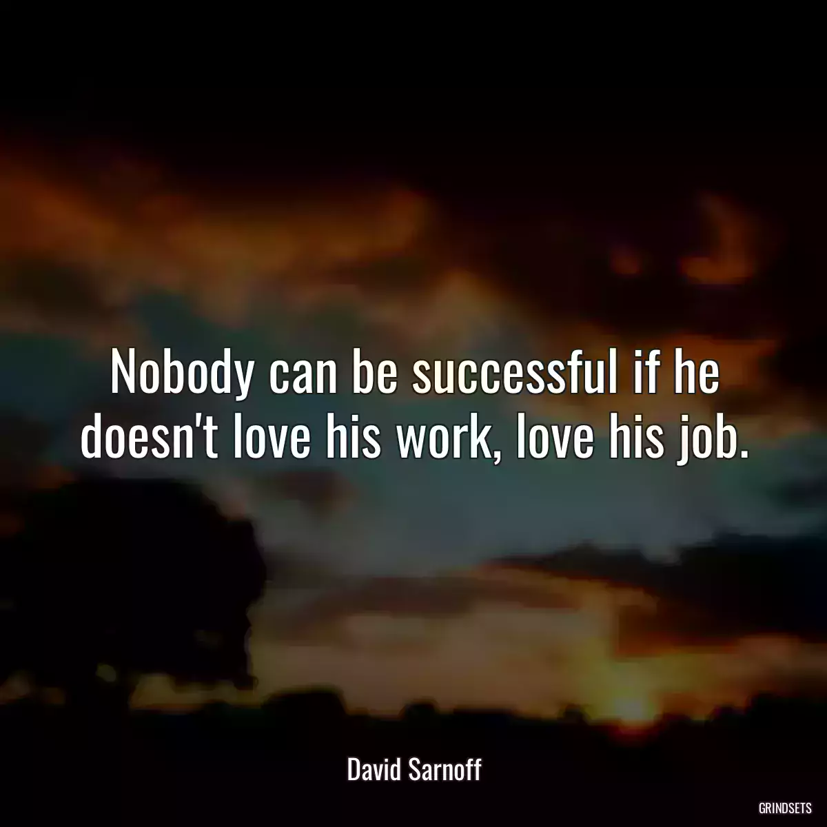 Nobody can be successful if he doesn\'t love his work, love his job.