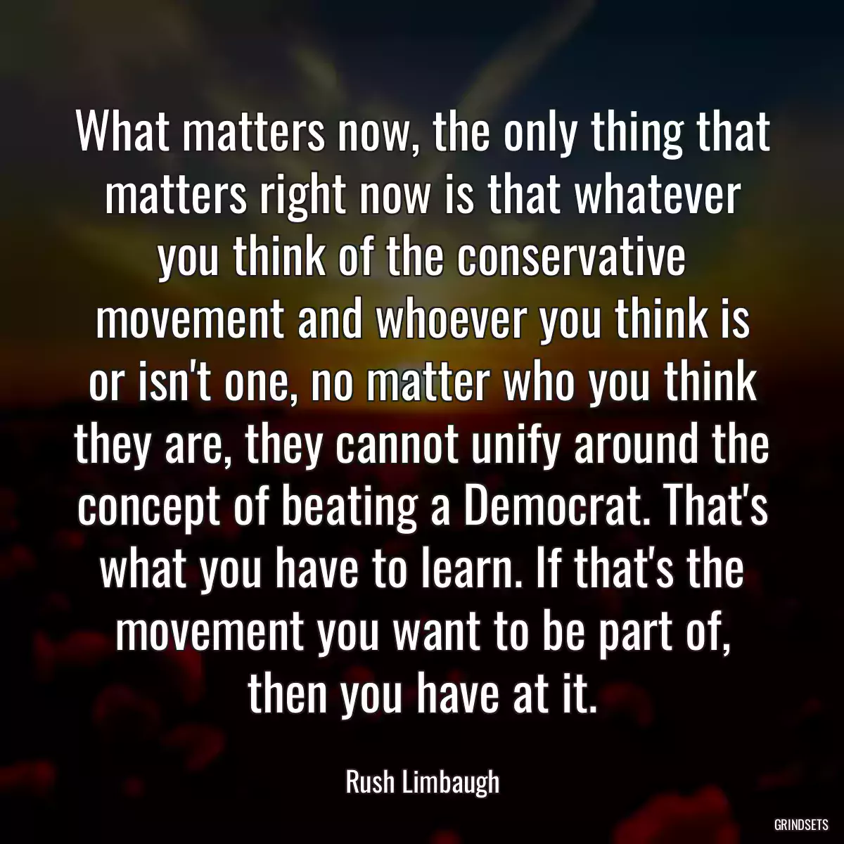 What matters now, the only thing that matters right now is that whatever you think of the conservative movement and whoever you think is or isn\'t one, no matter who you think they are, they cannot unify around the concept of beating a Democrat. That\'s what you have to learn. If that\'s the movement you want to be part of, then you have at it.