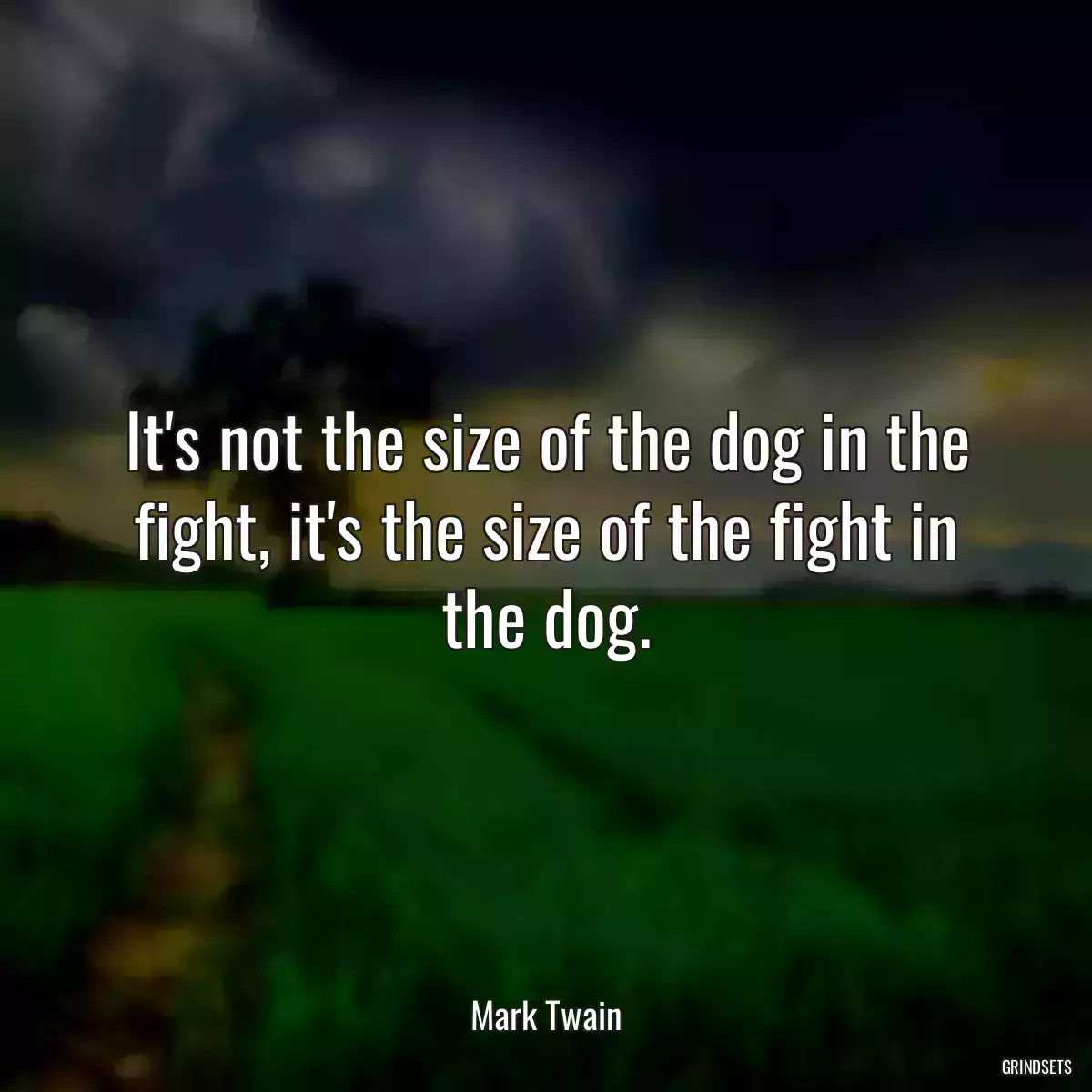 It\'s not the size of the dog in the fight, it\'s the size of the fight in the dog.