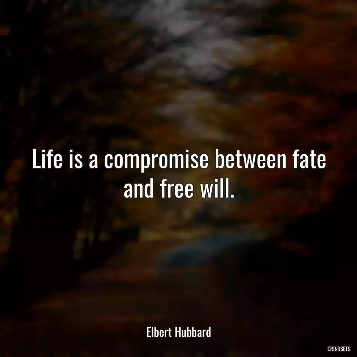 Life is a compromise between fate and free will.